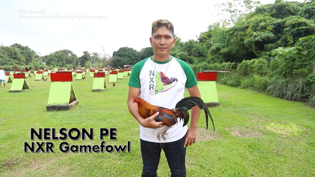 Nelson Pe ng NXR Gamefowls Farm sa Alagang LDI February 4, 2023